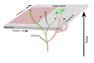 <span class="mw-page-title-main">Systematics</span> Branch of biology