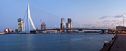 The Erasmus Bridge across the Meuse