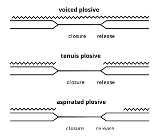 <span class="mw-page-title-main">Voice onset time</span> Feature of the production of stop consonants