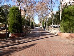 010-Barcelona-Allee.jpg