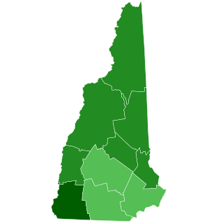 <span class="mw-page-title-main">2016 New Hampshire Democratic presidential primary</span>