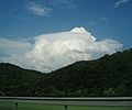 Cumulus congestus