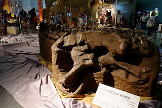 <i>Dongyangosaurus</i> genus of reptiles (fossil)