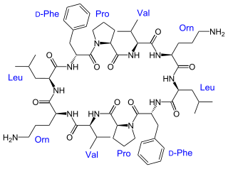 Gramicidin S Chemical compound