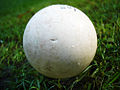 Hockeyball (Feldhockeyball)