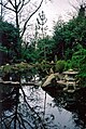 Japanese garden, Sir Thomas and Lady Dixon Park, Belfast