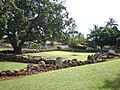 Kauai-Heiau-Kalaeokamanu-squares.JPG