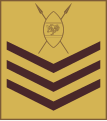 Staff sergeant (Kenya Army)