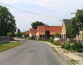 Kořenice