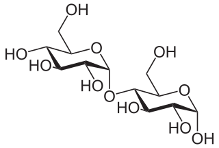 <span class="mw-page-title-main">Maltose</span> Chemical compound