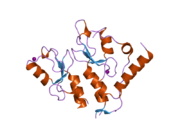 2ckl: RING1B-BMI1 E3 CATALYTIC DOMAIN STRUCTURE