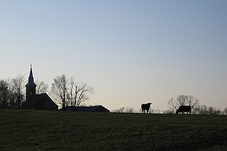 <span class="mw-page-title-main">Pocahontas, Missouri</span> Village in Missouri, United States