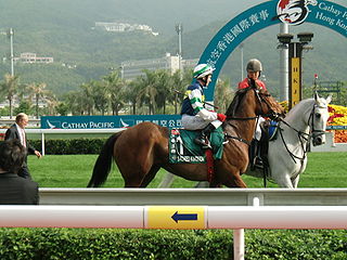 <span class="mw-page-title-main">Encosta De Lago</span> Australian Thoroughbred racehorse