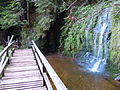 Oberer Fall mit Wasserbecken