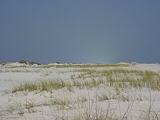 <span class="mw-page-title-main">Santa Rosa Island (Florida)</span> Island of Pensacola in Florida, United States