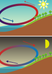 La brise de mer, créée par la différence des températures de l'air, la terre et la mer, s'inverse entre le jour et la nuit.