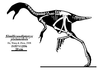 <i>Similicaudipteryx</i> Extinct genus of dinosaurs