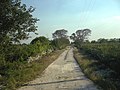 Siniltún, Yucatán.