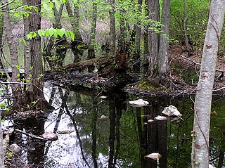 <span class="mw-page-title-main">Stony Brook Reservation</span>