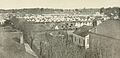 Union Camp Banks, temporary home to the 7th Vermont, 21st Indiana and Nims' Battery in Baton Rouge was photographed in late July 1862. During the Confederate surprise attack of August 5, this camp became a battlefield. Union troops in the hospital grabbed their weapons and helped repulse the Confederates.