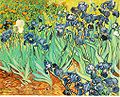 Irises. 1889. olio su tela medium QS:P186,Q296955;P186,Q12321255,P518,Q861259 , 71,1 × 93 cm