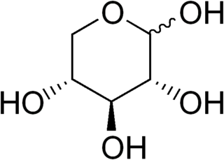 <span class="mw-page-title-main">Xylose metabolism</span>