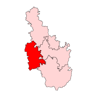 <span class="mw-page-title-main">Channapatna Assembly constituency</span> Legislative Assembly constituency in Karnataka, India