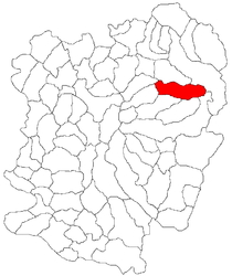 Location in Caraș-Severin County