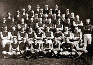 <span class="mw-page-title-main">1916 VFL season</span> 20th season of the Victorian Football League (VFL)