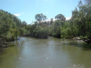 <span class="mw-page-title-main">Logan River</span> River in Queensland, Australia