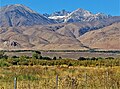 Mts. Jepson and Sill centered in the distance. From Owens Valley with camera pointed west-southwest.