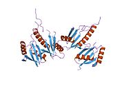 PDB 2npt EBI.jpg