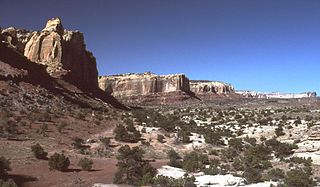 <span class="mw-page-title-main">Wingate Sandstone</span> Geologic formation across the Colorado Plateau, USA