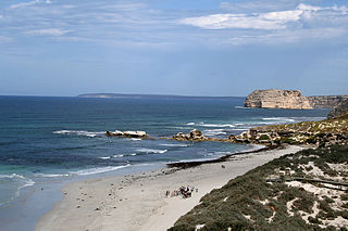 <span class="mw-page-title-main">Nobby Islet</span> Island in South Australia