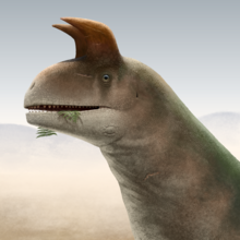 Speculative reconstruction showing battle-scars made by other Shringasaurus