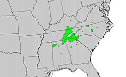 Carolinankesäkamelian levinneisyys Yhdysvalloissa