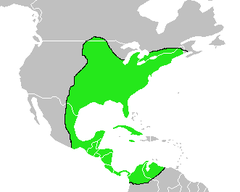 Zona de llocalización en verde