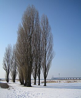 Bunkeflostrand Place in Skåne, Sweden