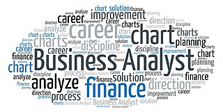 <span class="mw-page-title-main">Business analyst</span> Person who analyses and documents business processes