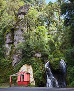 Forest growth near Mineral del Chico, Hidalgo