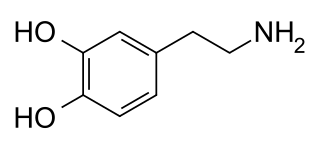 <span class="mw-page-title-main">Dopaminergic</span> Substance related to dopamine functions