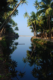 Coconut production in India