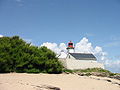 Lumturo de la pinto de la katoj sur insulo de Groix (Morbihan)