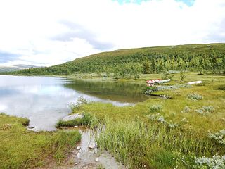 <span class="mw-page-title-main">Etnedal</span> Municipality in Innlandet, Norway