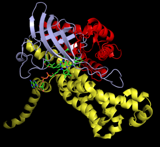 <span class="mw-page-title-main">4-Hydroxyphenylacetate 3-monooxygenase</span> Class of enzymes