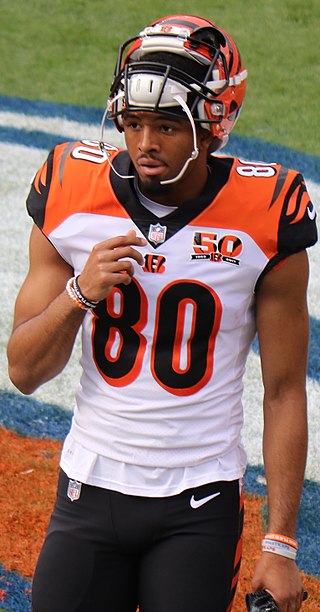 <span class="mw-page-title-main">Josh Malone</span> American football player (born 1996)