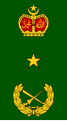 Brigedier jeneral (Malaysian Army)[31]