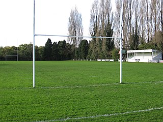 <span class="mw-page-title-main">Newton Abbot RFC</span> English rugby union club, based in Devon, England