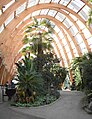 Sheffield Winter Gardens, UK