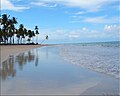 Praia de Tamandaré .